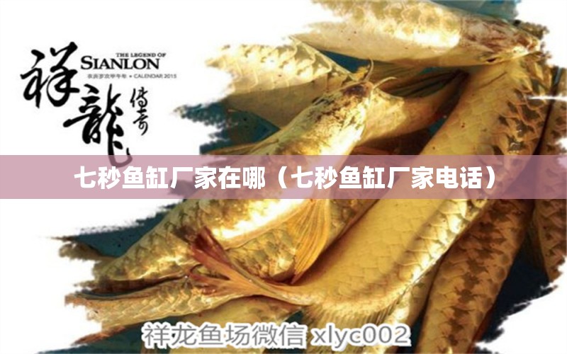 七秒魚缸廠家在哪（七秒魚缸廠家電話）