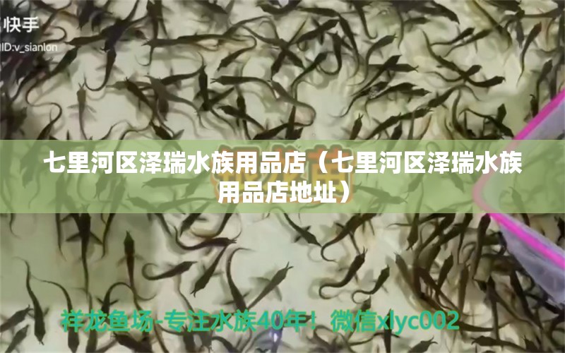 七里河區(qū)澤瑞水族用品店（七里河區(qū)澤瑞水族用品店地址） 水族用品