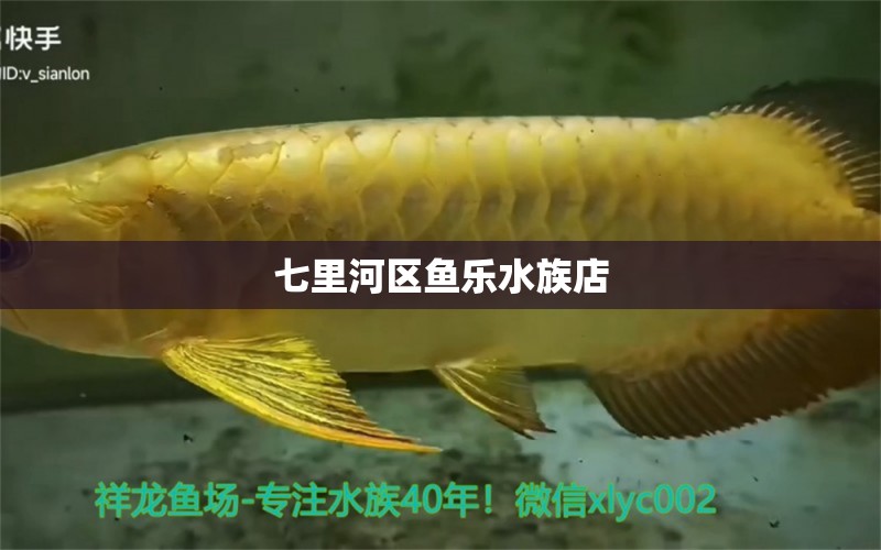 七里河區(qū)魚樂水族店 全國水族館企業(yè)名錄