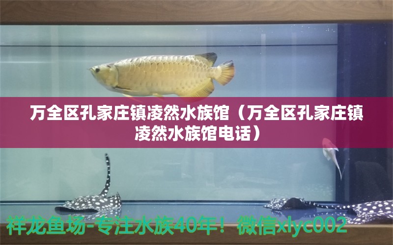 萬全區(qū)孔家莊鎮(zhèn)凌然水族館（萬全區(qū)孔家莊鎮(zhèn)凌然水族館電話）