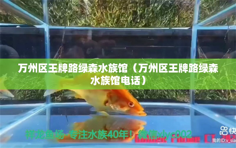 萬州區(qū)王牌路綠森水族館（萬州區(qū)王牌路綠森水族館電話）