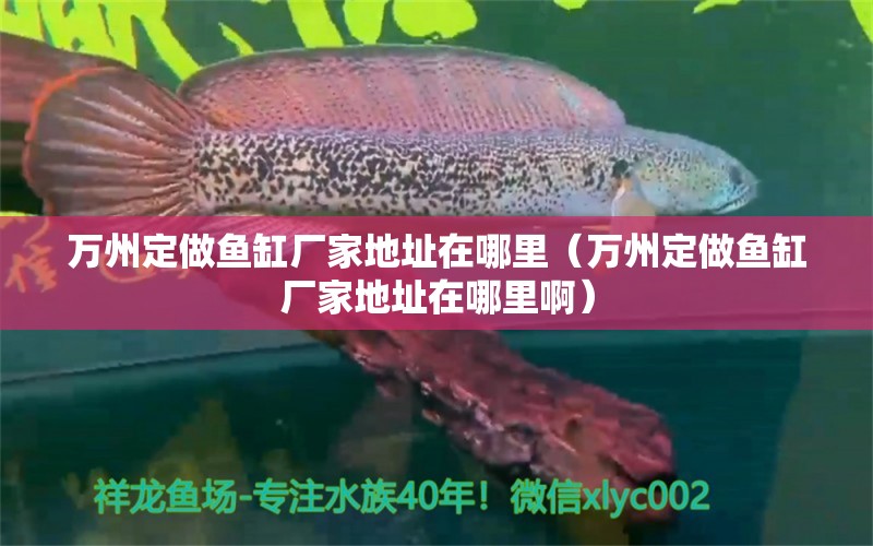 萬州定做魚缸廠家地址在哪里（萬州定做魚缸廠家地址在哪里?。? title=