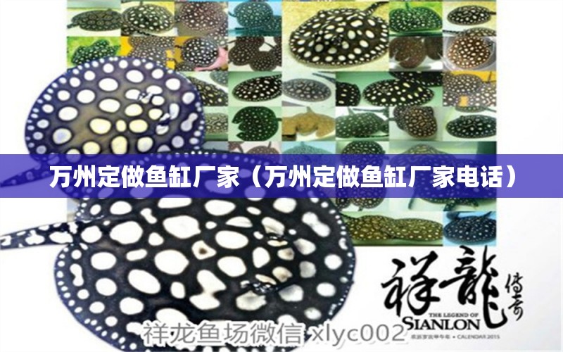 萬州定做魚缸廠家（萬州定做魚缸廠家電話） 其他品牌魚缸