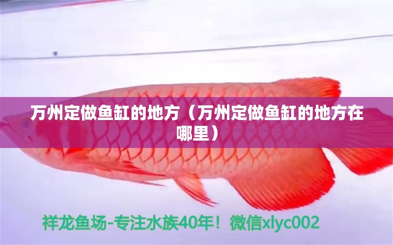 萬州定做魚缸的地方（萬州定做魚缸的地方在哪里）