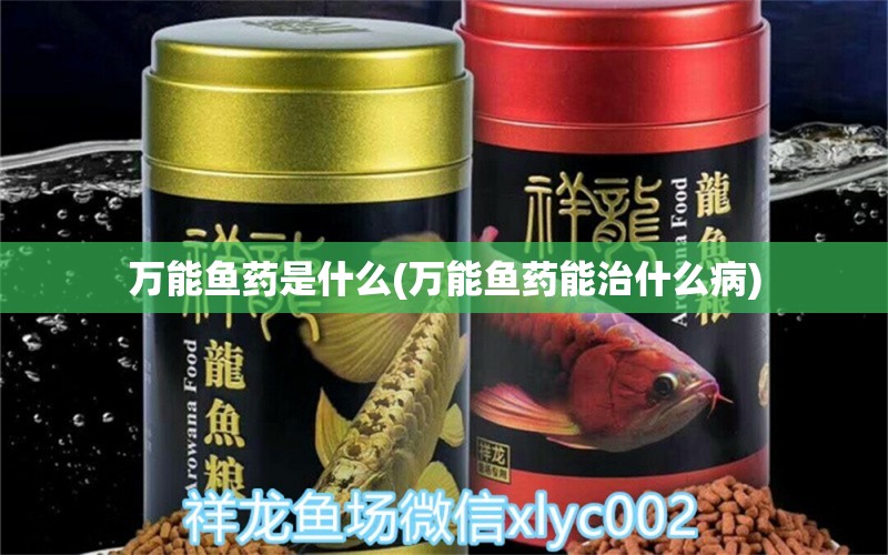 萬能魚藥是什么(萬能魚藥能治什么病) 純血皇冠黑白魟魚