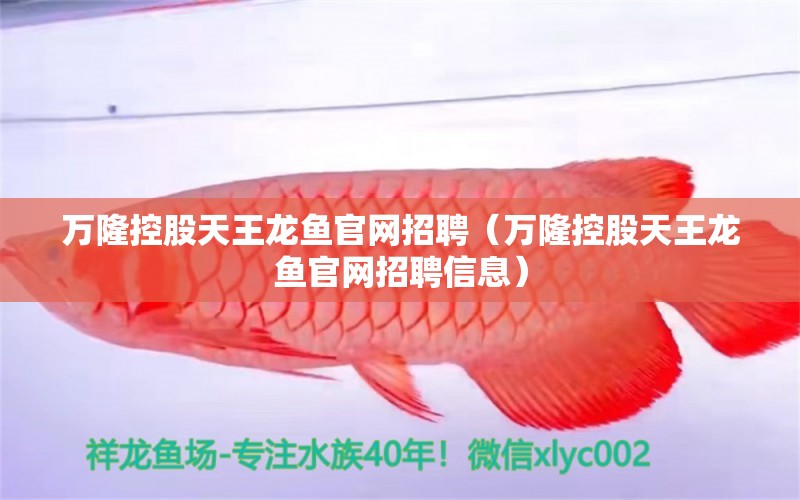 萬(wàn)隆控股天王龍魚官網(wǎng)招聘（萬(wàn)隆控股天王龍魚官網(wǎng)招聘信息）