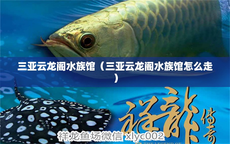 三亞云龍閣水族館（三亞云龍閣水族館怎么走） 全國水族館企業(yè)名錄