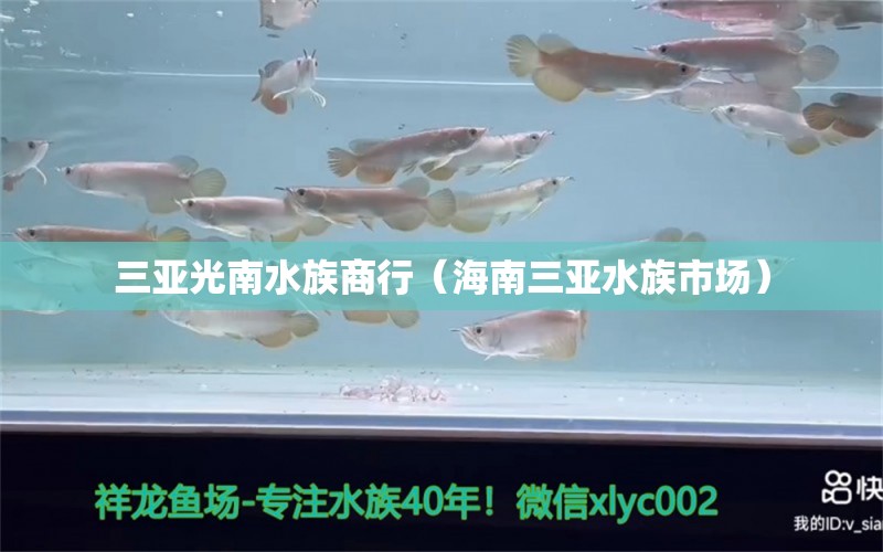 三亞光南水族商行（海南三亞水族市場）