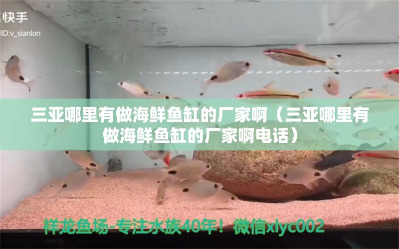 三亞哪里有做海鮮魚缸的廠家?。ㄈ齺喣睦镉凶龊ｕr魚缸的廠家啊電話）