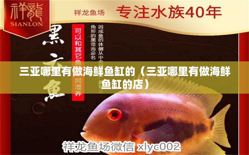 三亞哪里有做海鮮魚缸的（三亞哪里有做海鮮魚缸的店）