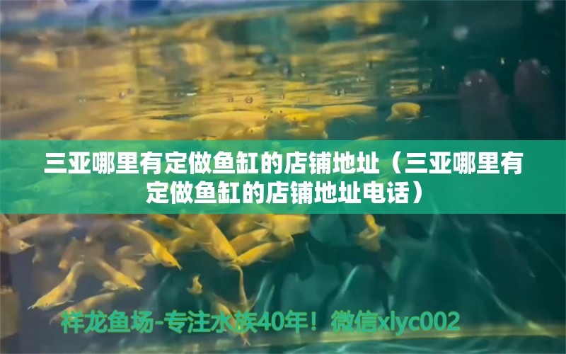 三亞哪里有定做魚(yú)缸的店鋪地址（三亞哪里有定做魚(yú)缸的店鋪地址電話） 祥龍水族醫(yī)院