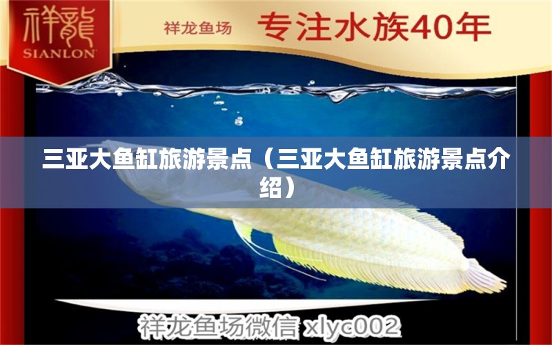 三亞大魚缸旅游景點(diǎn)（三亞大魚缸旅游景點(diǎn)介紹）