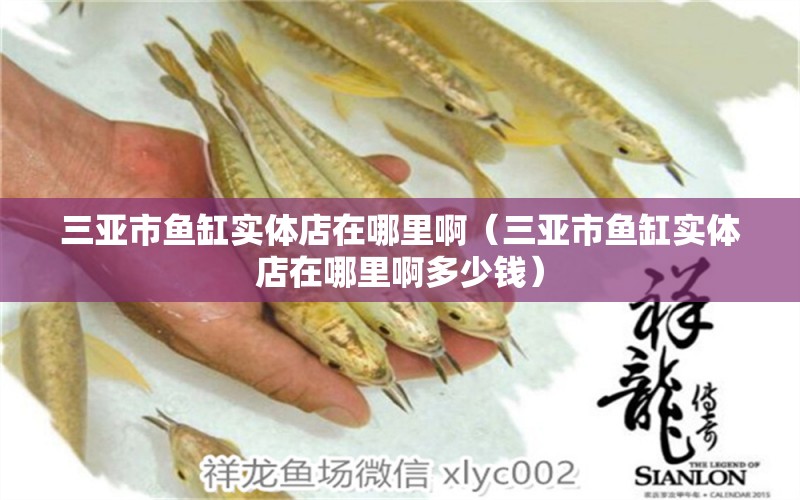 三亞市魚缸實體店在哪里啊（三亞市魚缸實體店在哪里啊多少錢） 其他品牌魚缸