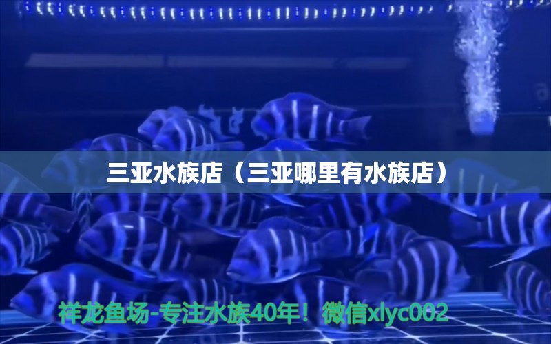 三亞水族店（三亞哪里有水族店） 觀賞魚市場