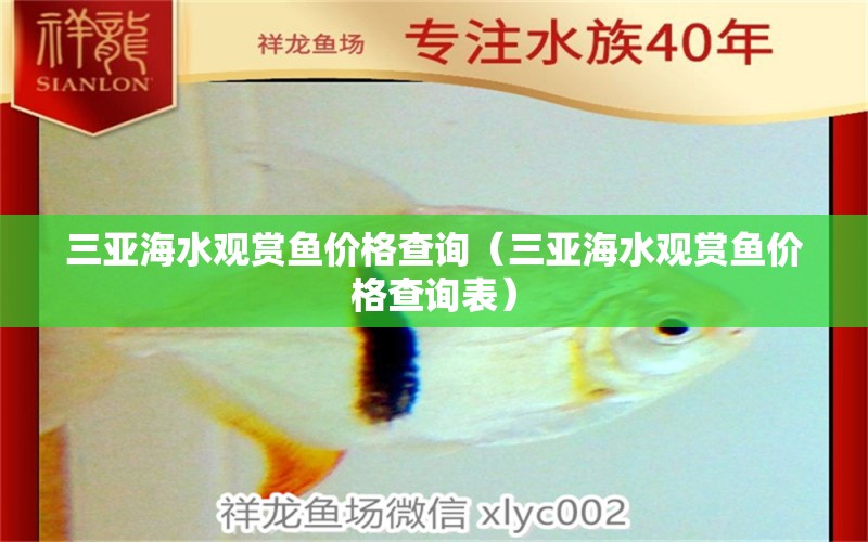 三亞海水觀賞魚價(jià)格查詢（三亞海水觀賞魚價(jià)格查詢表）