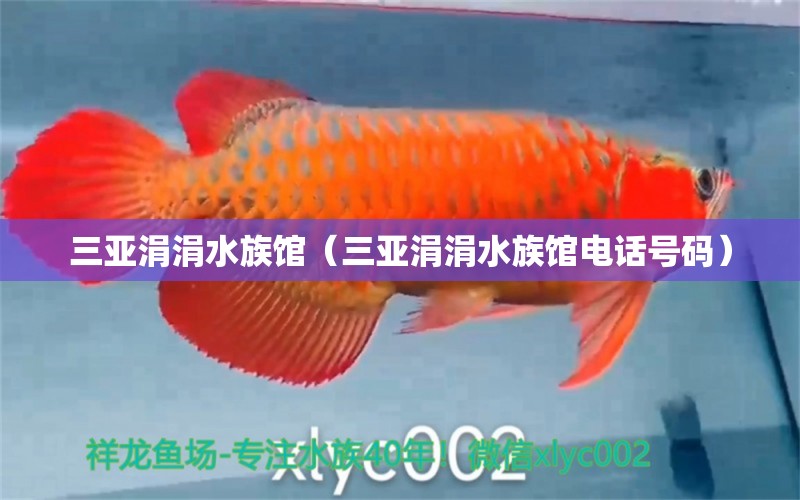 三亞涓涓水族館（三亞涓涓水族館電話號(hào)碼）