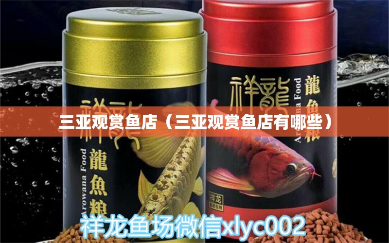 三亞觀賞魚店（三亞觀賞魚店有哪些）