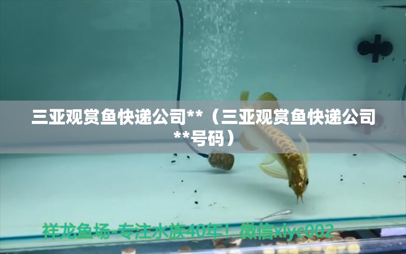 三亞觀賞魚快遞公司**（三亞觀賞魚快遞公司**號碼）