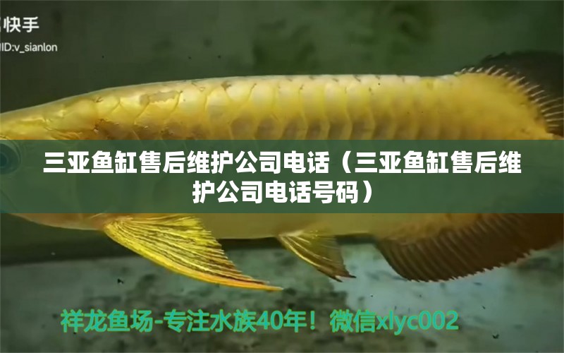 三亞魚缸售后維護(hù)公司電話（三亞魚缸售后維護(hù)公司電話號(hào)碼） 其他品牌魚缸