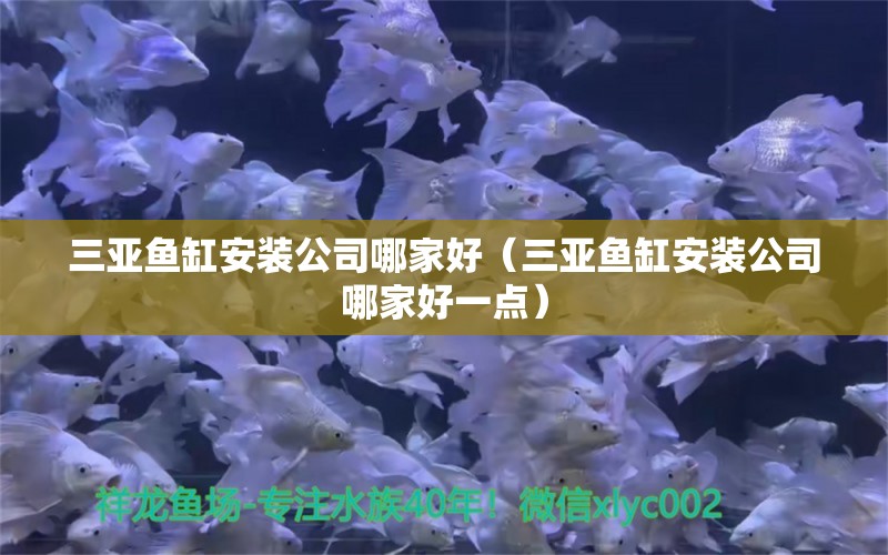 三亞魚缸安裝公司哪家好（三亞魚缸安裝公司哪家好一點） 七彩神仙魚