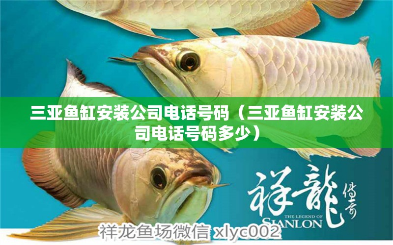 三亞魚缸安裝公司電話號碼（三亞魚缸安裝公司電話號碼多少）