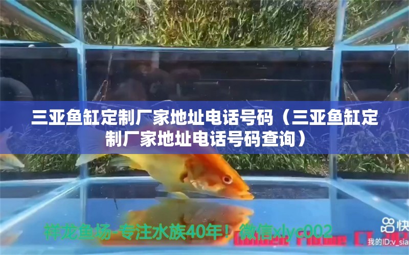 三亞魚缸定制廠家地址電話號(hào)碼（三亞魚缸定制廠家地址電話號(hào)碼查詢）