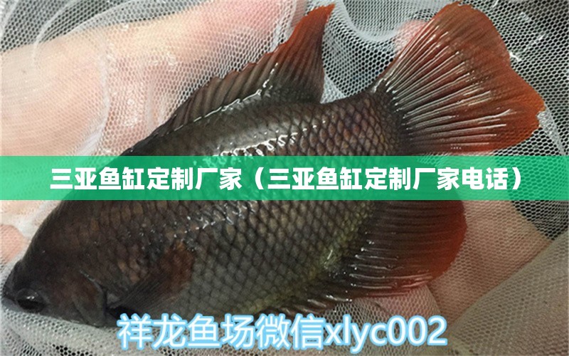 三亞魚(yú)缸定制廠家（三亞魚(yú)缸定制廠家電話） 其他品牌魚(yú)缸