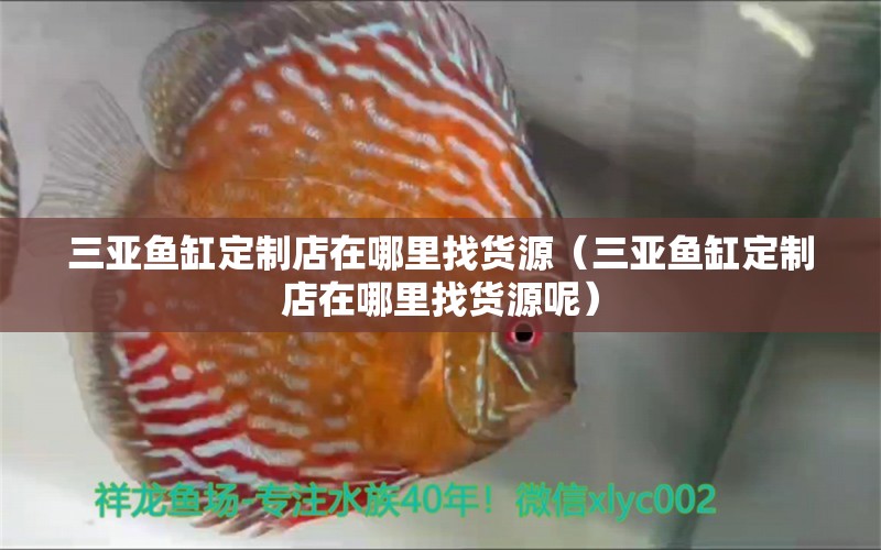 三亞魚缸定制店在哪里找貨源（三亞魚缸定制店在哪里找貨源呢）