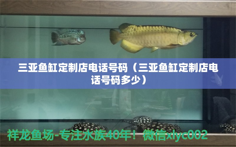 三亞魚缸定制店電話號碼（三亞魚缸定制店電話號碼多少） 暹羅巨鯉