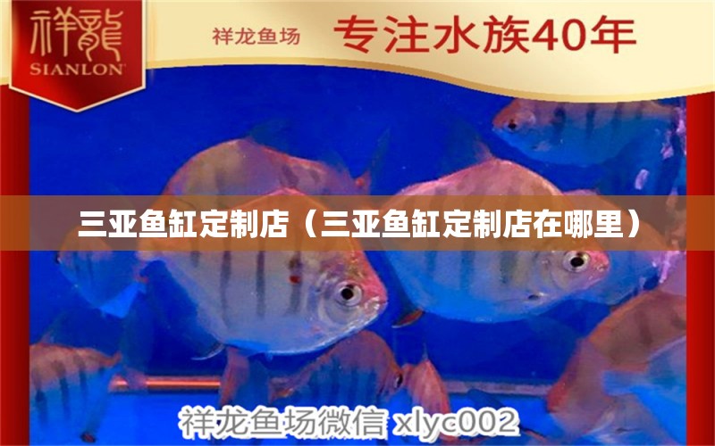 三亞魚缸定制店（三亞魚缸定制店在哪里）