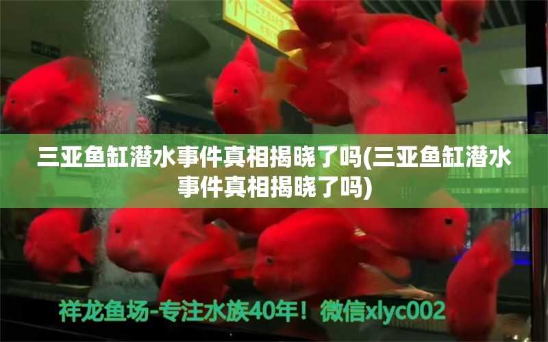 三亞魚缸潛水事件真相揭曉了嗎(三亞魚缸潛水事件真相揭曉了嗎) 飛鳳魚