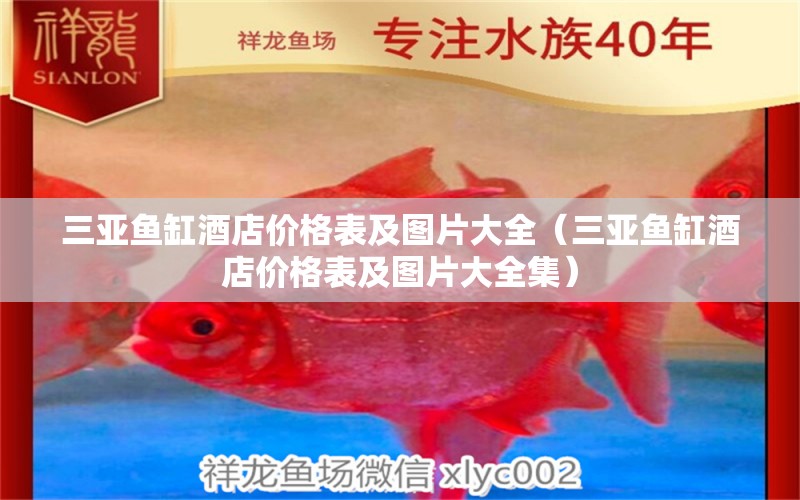 三亞魚缸酒店價格表及圖片大全（三亞魚缸酒店價格表及圖片大全集） 祥龍魚場