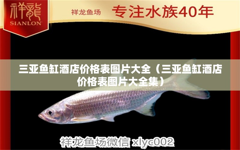 三亞魚缸酒店價(jià)格表圖片大全（三亞魚缸酒店價(jià)格表圖片大全集） 委內(nèi)瑞拉奧里諾三間魚