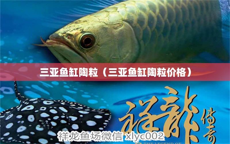 三亞魚缸陶粒（三亞魚缸陶粒價格）