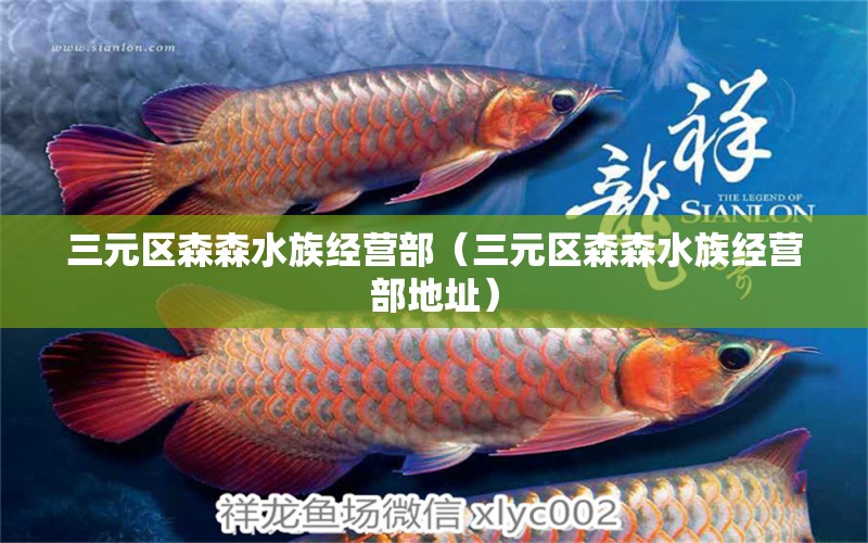 三元區(qū)森森水族經(jīng)營部（三元區(qū)森森水族經(jīng)營部地址）