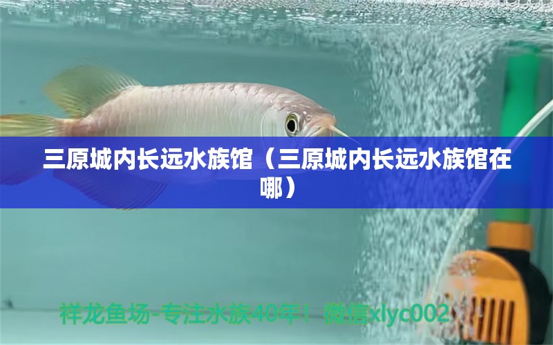 三原城內(nèi)長遠水族館（三原城內(nèi)長遠水族館在哪） 全國水族館企業(yè)名錄