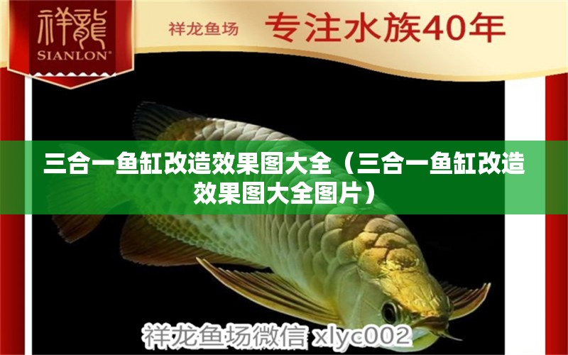 三合一魚缸改造效果圖大全（三合一魚缸改造效果圖大全圖片） 戰(zhàn)車紅龍魚