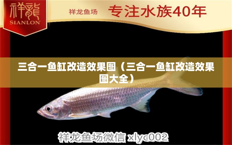 三合一魚缸改造效果圖（三合一魚缸改造效果圖大全）