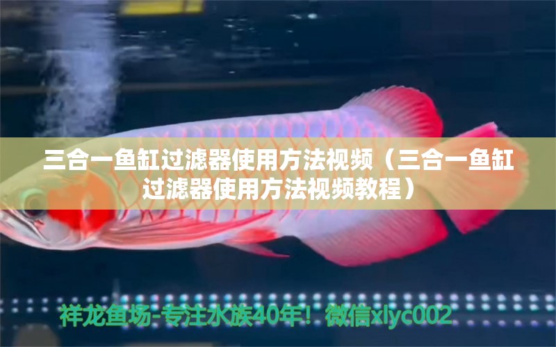 三合一魚缸過濾器使用方法視頻（三合一魚缸過濾器使用方法視頻教程）