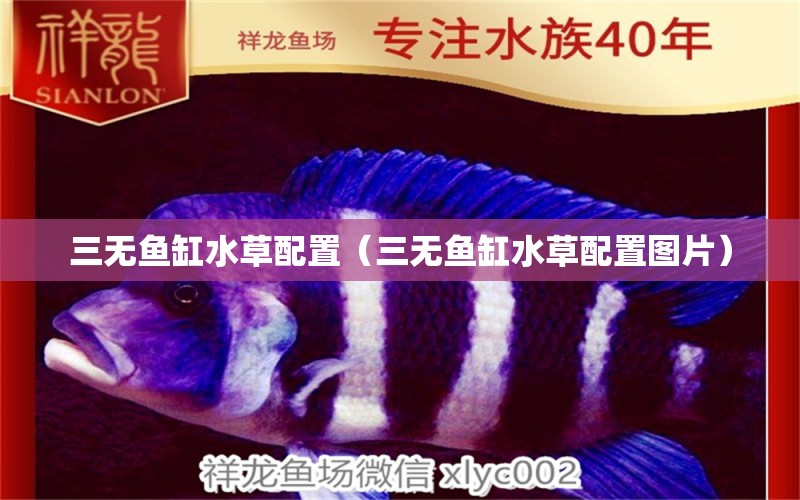 三無魚缸水草配置（三無魚缸水草配置圖片） 祥龍魚場其他產(chǎn)品