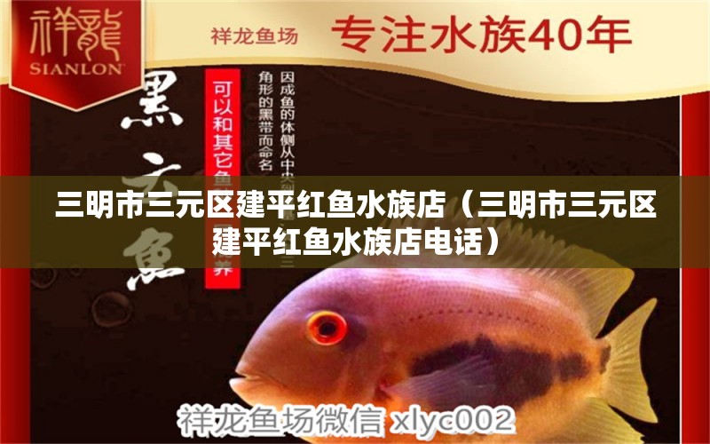 三明市三元區(qū)建平紅魚水族店（三明市三元區(qū)建平紅魚水族店電話） 全國水族館企業(yè)名錄