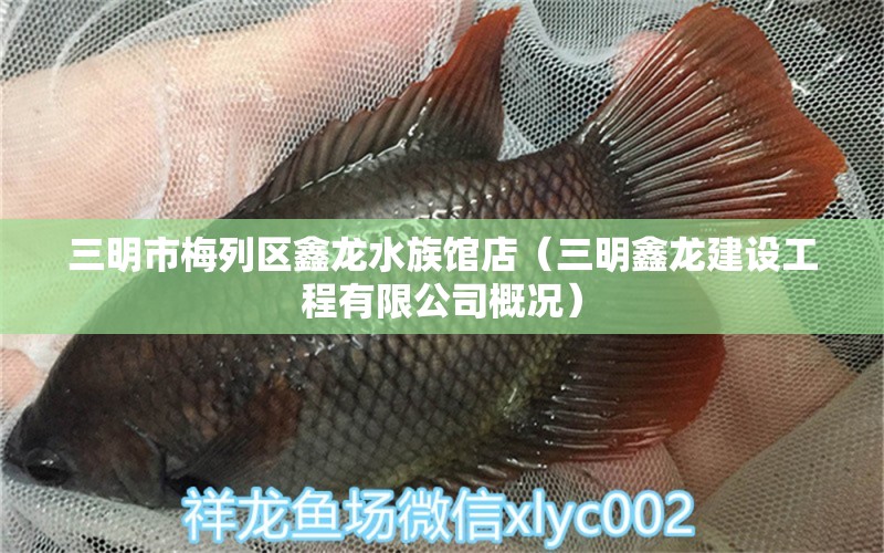 三明市梅列區(qū)鑫龍水族館店（三明鑫龍建設工程有限公司概況） 全國水族館企業(yè)名錄