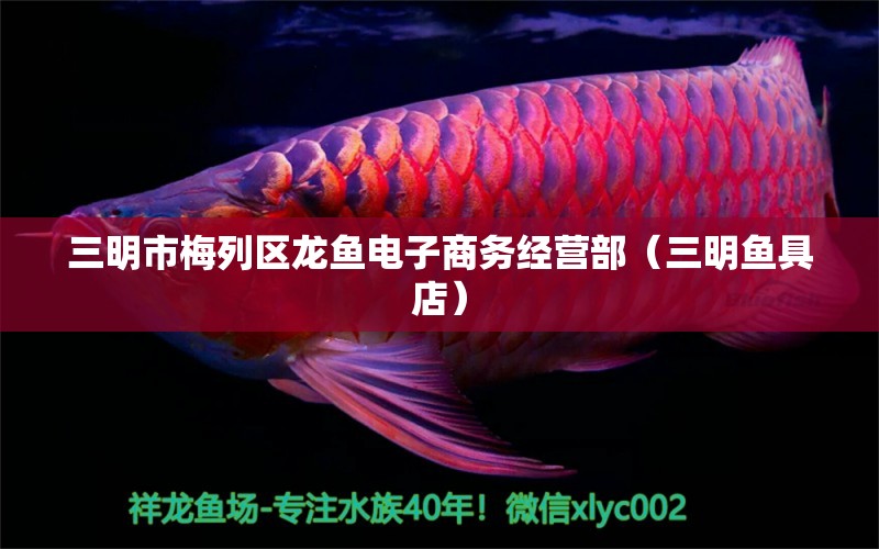 三明市梅列區(qū)龍魚(yú)電子商務(wù)經(jīng)營(yíng)部（三明魚(yú)具店）