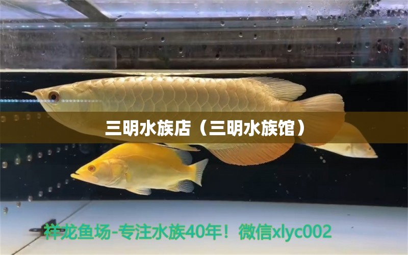 三明水族店（三明水族館） 觀賞魚市場