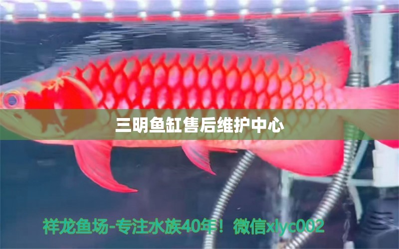 三明魚缸售后維護中心