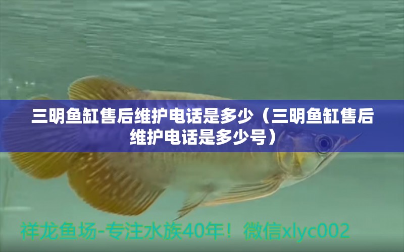 三明魚缸售后維護電話是多少（三明魚缸售后維護電話是多少號） 其他品牌魚缸