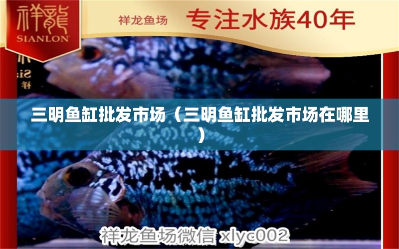 三明魚缸批發(fā)市場（三明魚缸批發(fā)市場在哪里） 觀賞魚水族批發(fā)市場