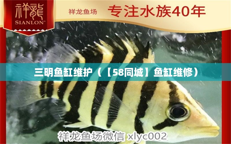 三明魚缸維護(hù)（【58同城】魚缸維修）