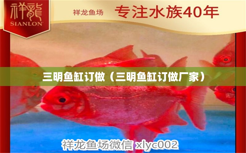 三明魚缸訂做（三明魚缸訂做廠家） 廣州龍魚批發(fā)市場