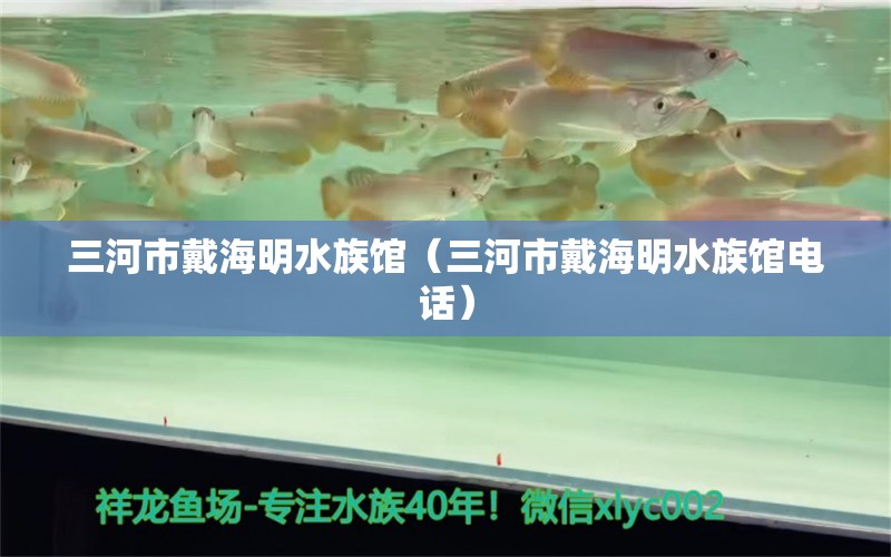 三河市戴海明水族館（三河市戴海明水族館電話）